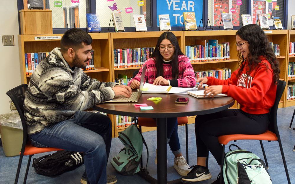 Students studying in the library